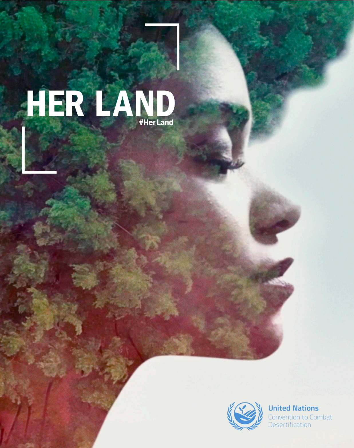 Her Land Publication Launched at the UNCCD COP16